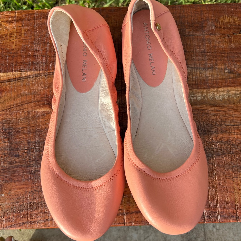 Antonio Melani Ballet Slippers